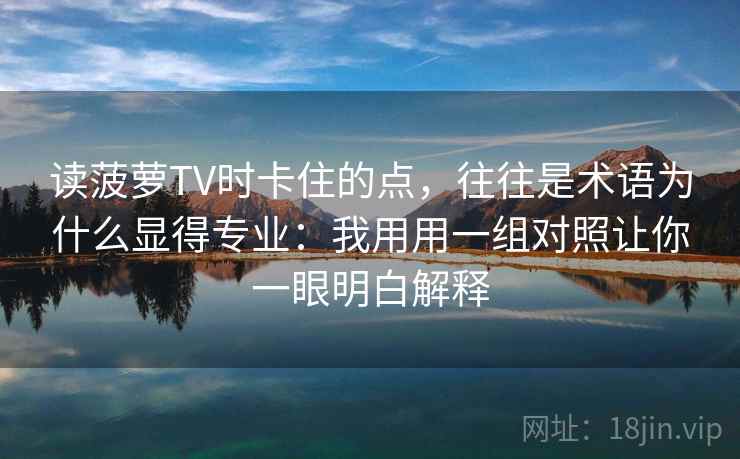 读菠萝TV时卡住的点，往往是术语为什么显得专业：我用用一组对照让你一眼明白解释