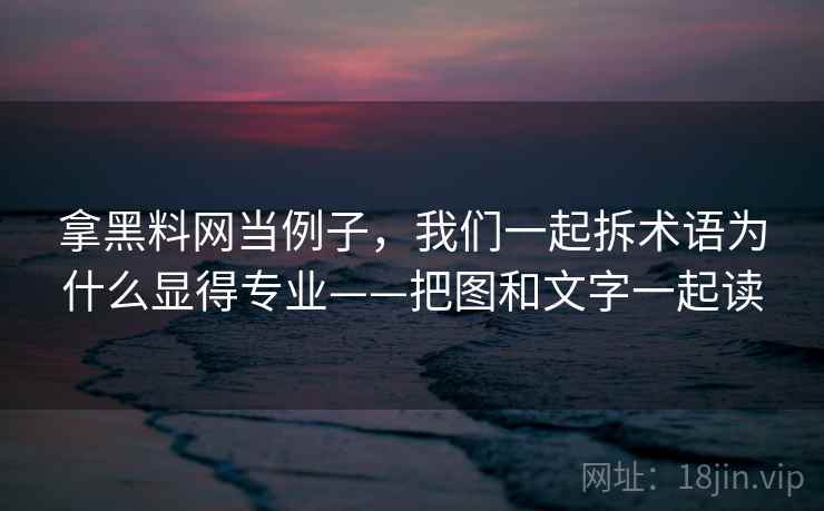 拿黑料网当例子,我们一起拆术语为什么显得专业——把图和文字一起读 拿黑料网当例子,我们一起拆术语为什么显得专业——把图和文字一起读